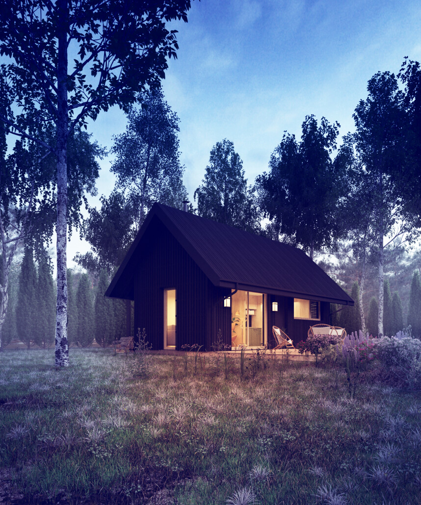 wizualizacja dom letniskowy